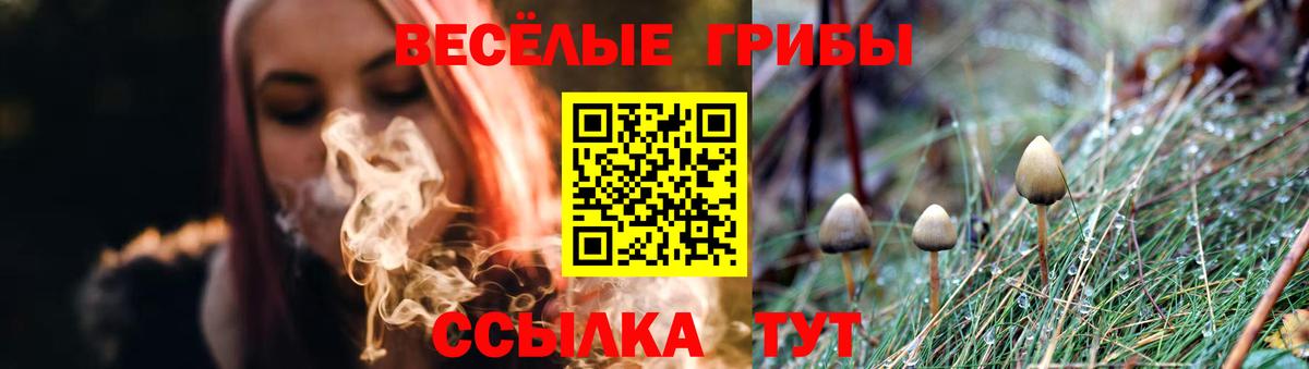 Псилоцибиновые грибы MAGIC MUSHROOMS Донской